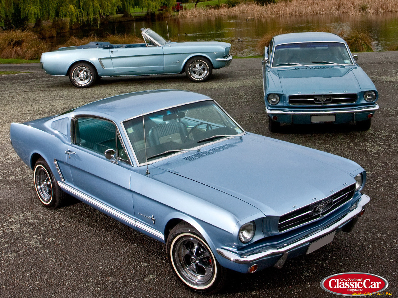 , mustang